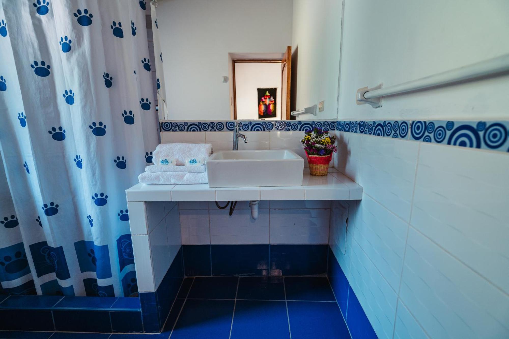 אויאנטאיטמבו Picaflor Tambo Guest House מראה חיצוני תמונה